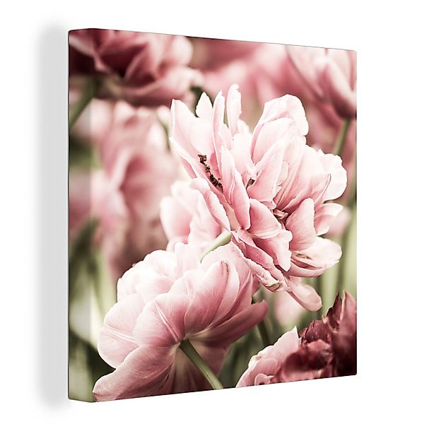 OneMillionCanvasses® Leinwandbild Die Sonne scheint auf günstig online kaufen