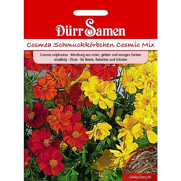 Dürr Samen Cosmea Cosmic Mix Gelb Rote Orange Töne Einjährig Saatgut günstig online kaufen