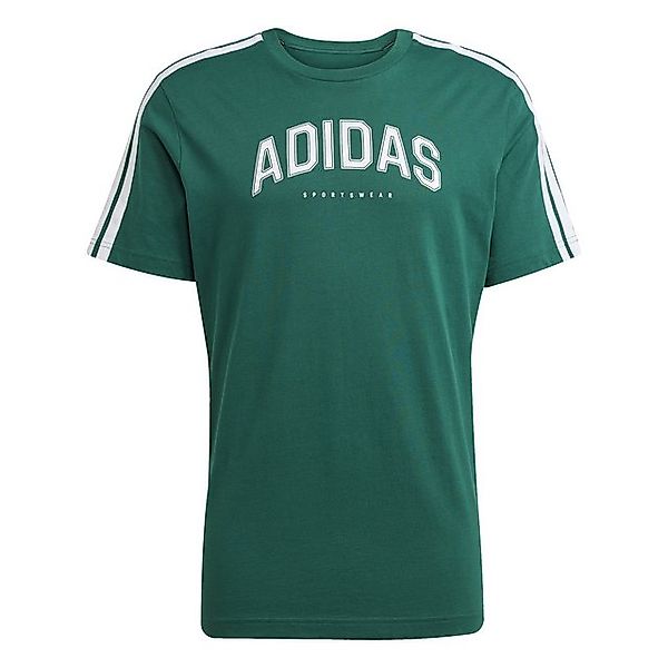 adidas Sportswear T-Shirt M C COLLEG TEE CGREEN günstig online kaufen