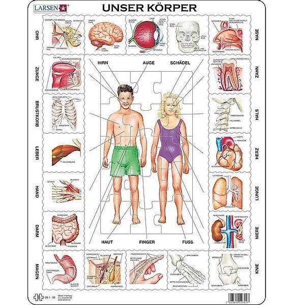 Larsen Puzzle Puzzle - Unser Körper, günstig online kaufen