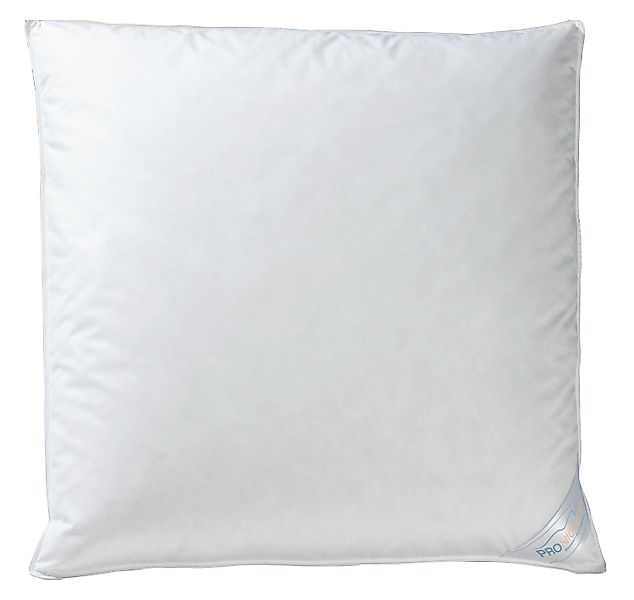 Pronight Kopfkissen LUXUS, 80 x 80 günstig online kaufen
