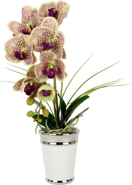 Kunstblume Orchidee, I.GE.A., Höhe 52 cm, günstig online kaufen