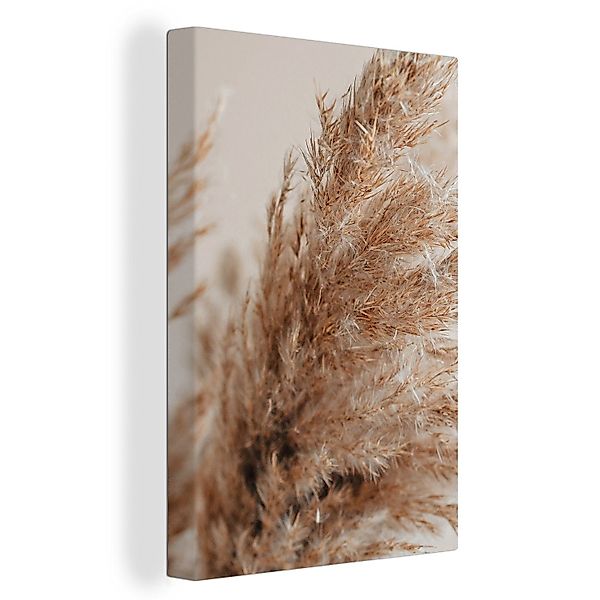 OneMillionCanvasses® Leinwandbild Gras - Pflanzen - günstig online kaufen