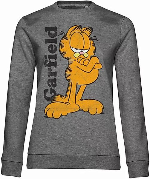 Garfield Rundhalspullover günstig online kaufen