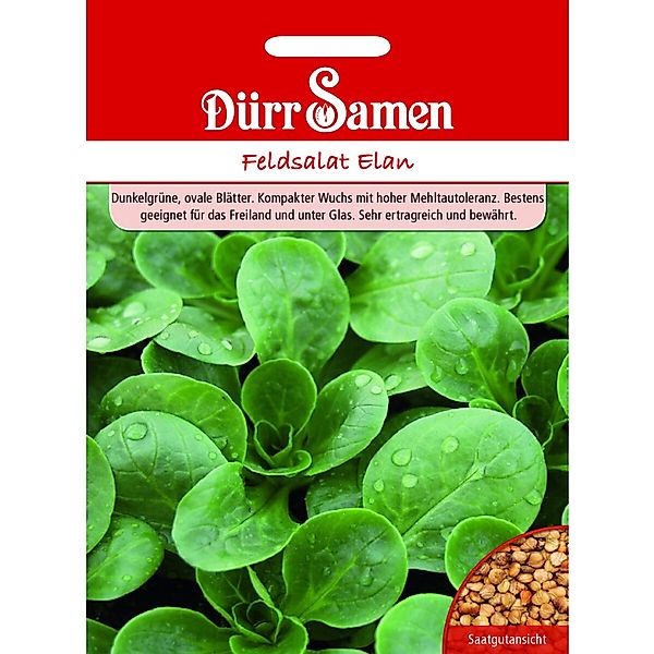 Dürr Samen Feldsalat Elan Saatgut günstig online kaufen