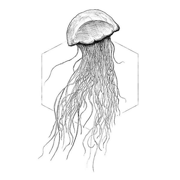 Komar Wandbild Jellyfish White Tiere B/L: ca. 30x40 cm günstig online kaufen