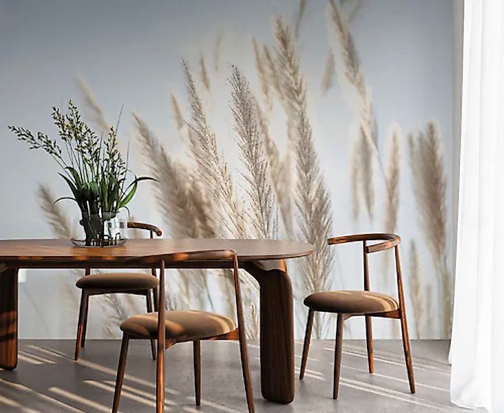 A.S. Création Vliestapete »Pampasgras-Tapete Hellblau Beige Fototapete Boho günstig online kaufen