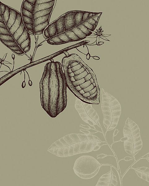 Komar Bild "Wild Cocoa" Natur 1 Stk. tlg. Wandbild zur Dekoration - ohne Ra günstig online kaufen