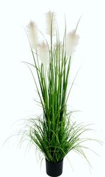 I.GE.A. Kunstgras "Pampasgras" im Kunststofftopf günstig online kaufen