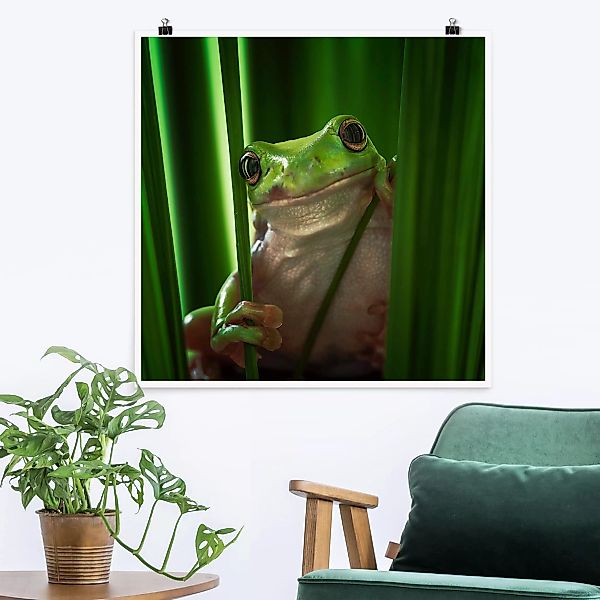 Poster Tiere - Quadrat Fröhlicher Frosch günstig online kaufen
