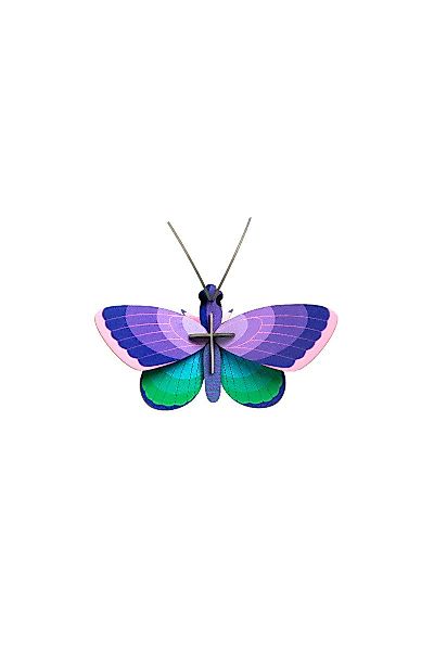 studio ROOF Wanddekoobjekt 3D Schmetterling Bläuling günstig online kaufen