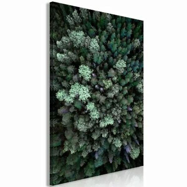 artgeist Wandbild Flying Over Forest (1 Part) Vertical schwarz/grün Gr. 40 günstig online kaufen