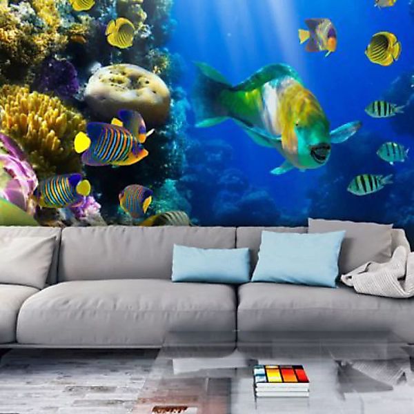 artgeist Fototapete Unterwasserparadies schwarz Gr. 350 x 270 günstig online kaufen