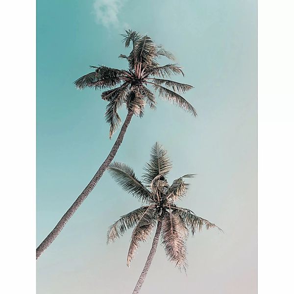 Komar Wandbild Miami Palms 30 x 40 cm günstig online kaufen