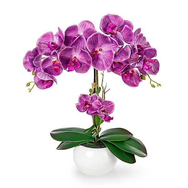 Kunstorchidee PASCH® Orchidee künstlich wie echt günstig online kaufen