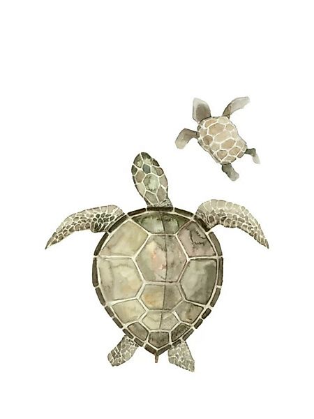 Poster / Leinwandbild - Sea Life - Turtles günstig online kaufen