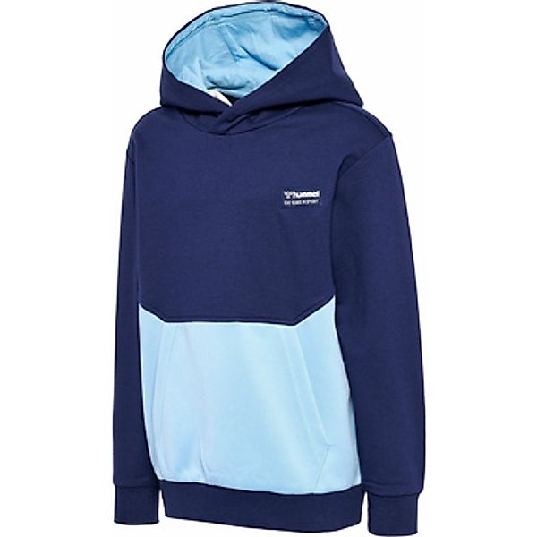 hummel  Pullover Hoodie für Herren günstig online kaufen