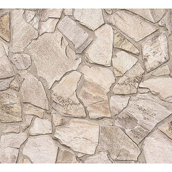 A.S. Création Vliestapete Terra Tapete Steinoptik, günstig online kaufen