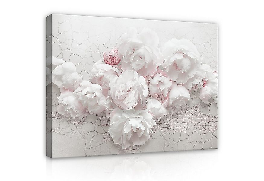 Wallarena Leinwandbild Blumen Abstrakt Pfingstrosen Modern Wandbilder Wand günstig online kaufen