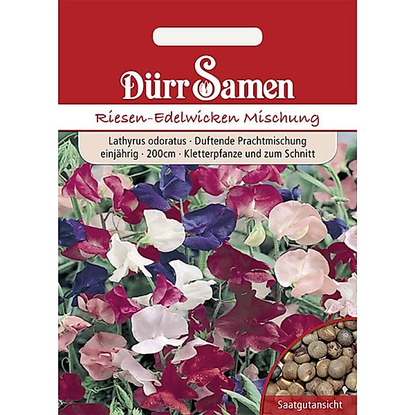 Dürr Samen Edelwicken Prachtmischung Einjährig Saatgut günstig online kaufen