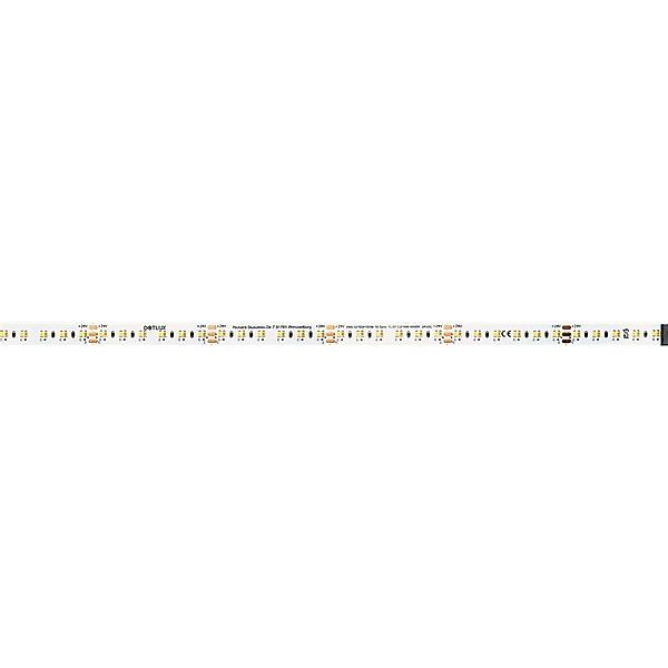 DOTLUX LED-Streifen 96W 10 mm COLORselect 2700-6500K IP20 5m-Rolle inkl. 50 günstig online kaufen