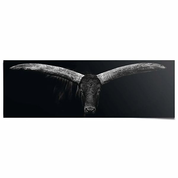 Reinders Poster "Ochse" günstig online kaufen