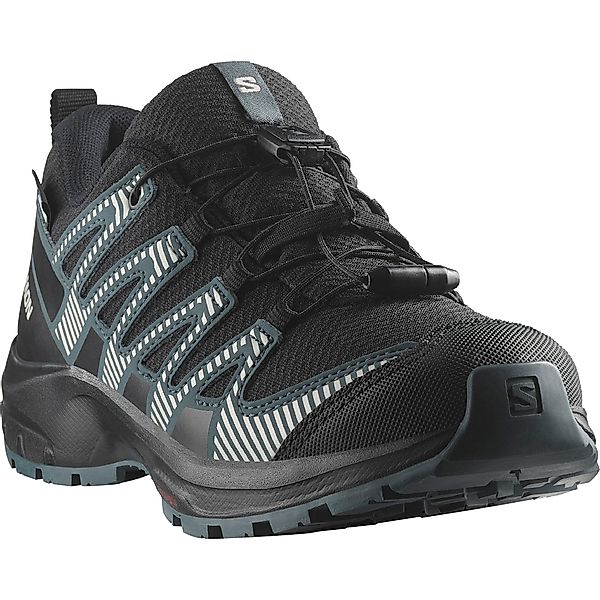Salomon XA PRO V8 WATERPROOF Trailrunningschuh günstig online kaufen