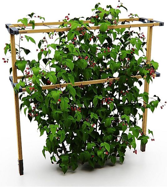 Gusta Garden Rankhilfe BERRY BUDDY, erweiterbares Rankgitter aus Holz, 120c günstig online kaufen