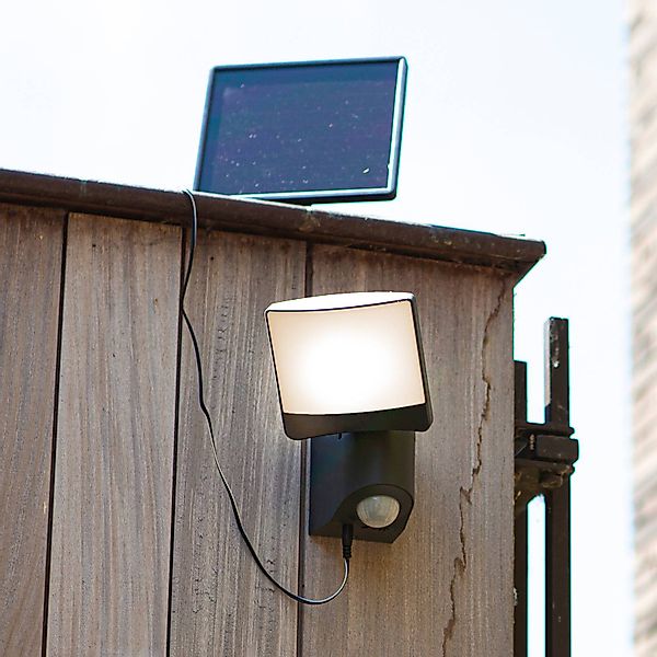 LUTEC LED Solarleuchte "LED-Solar Wandleuchte SUNSHINE", 1 flammig, Leuchtm günstig online kaufen
