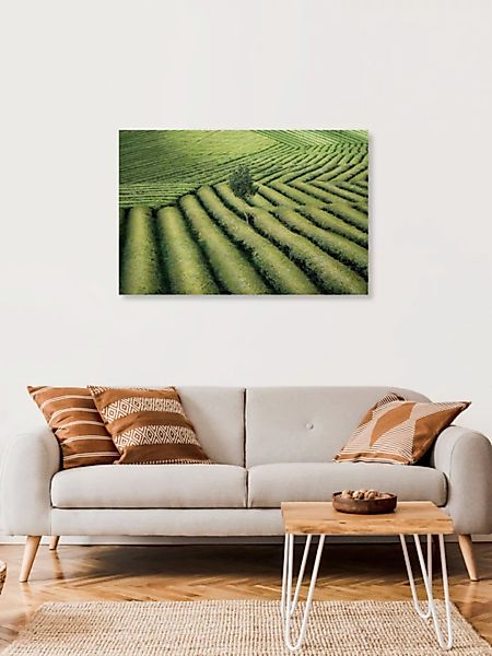 Poster / Leinwandbild - Tree In a Tea Field günstig online kaufen