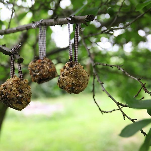 Fettkugeln Gartenvögel Diy 475 Gramm günstig online kaufen