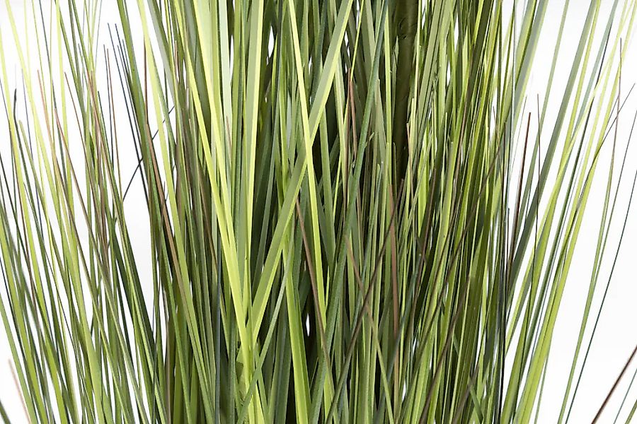 Botanic-Haus Kunstgras »Gras Festuca« günstig online kaufen