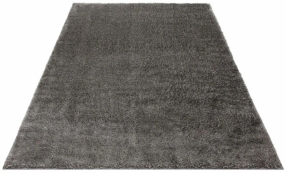 my home Hochflor-Teppich Mikro Soft Ideal, günstig online kaufen