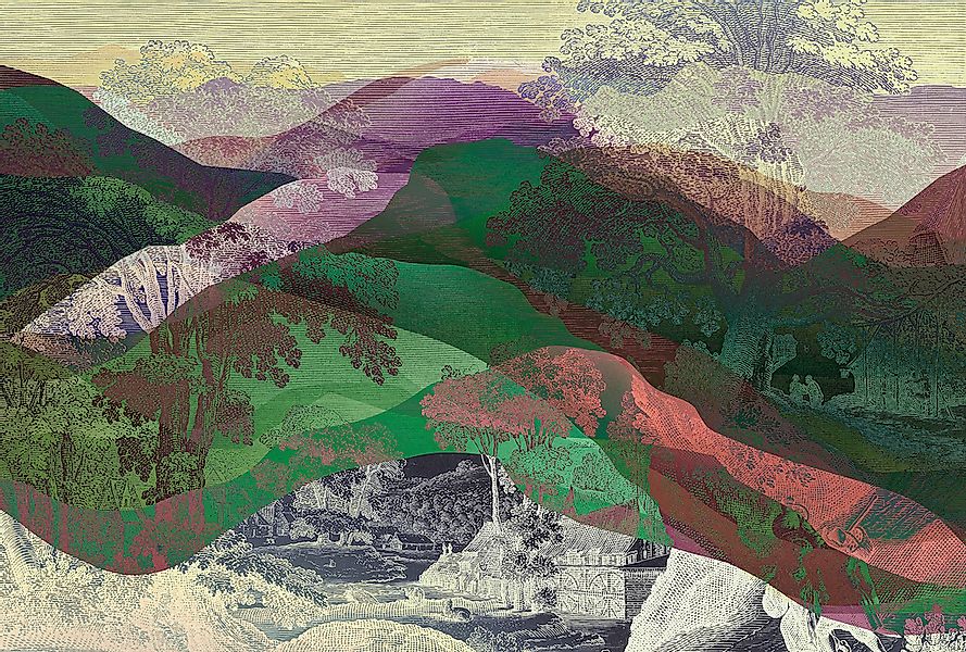 living walls "Walls by Patel Hidden Valley" glatt Vlies, Wand günstig online kaufen