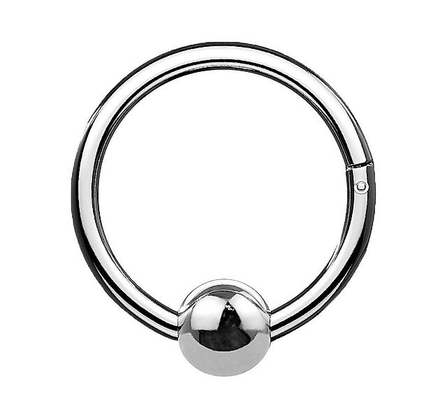 Taffstyle Nasenpiercing Septum Piercing Ohr Segmentring Scharnier Clicker m günstig online kaufen