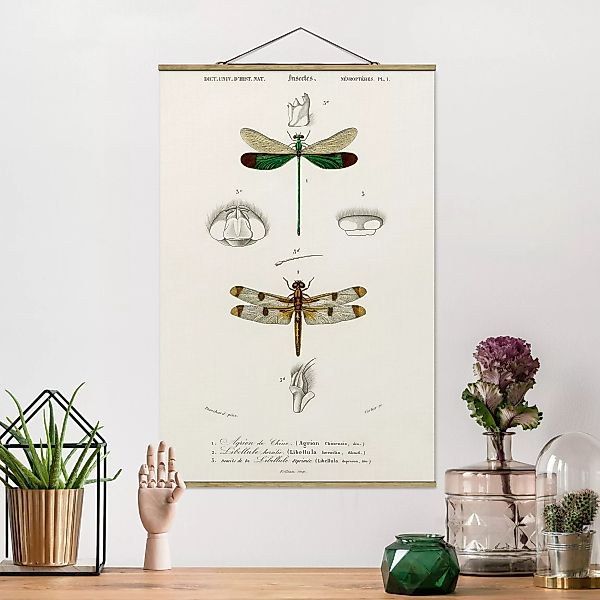 Stoffbild Tiere mit Posterleisten - Hochformat Vintage Lehrtafel Libellen günstig online kaufen