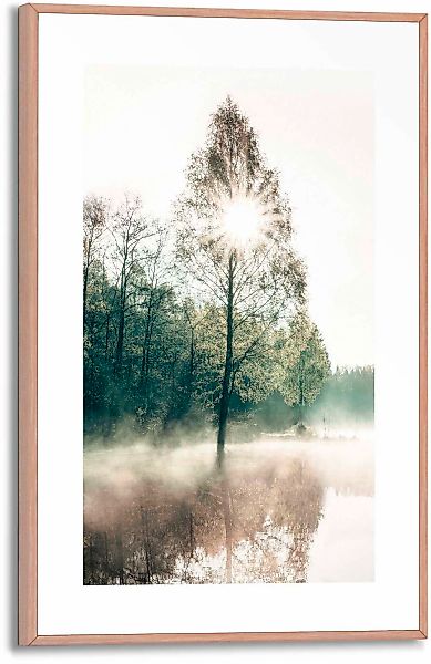 Reinders Poster "Sonne durch die Bäume" günstig online kaufen
