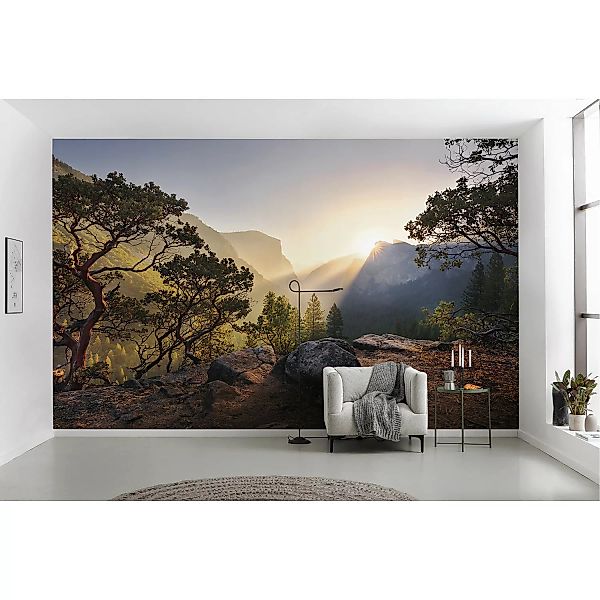 KOMAR Vlies Fototapete - Yosemites Secret - Größe 450 x 280 cm mehrfarbig günstig online kaufen