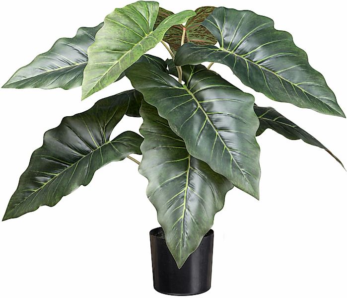 Kunstpalme Taropflanze Grünpflanze, Creativ green, Höhe 66 cm, mit großen B günstig online kaufen