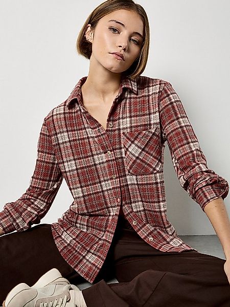 Apricot Karobluse günstig online kaufen