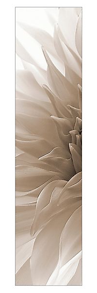 Bilderdepot24 Schiebegardine modern Flächenvorhang blickdicht Dahlie günstig online kaufen
