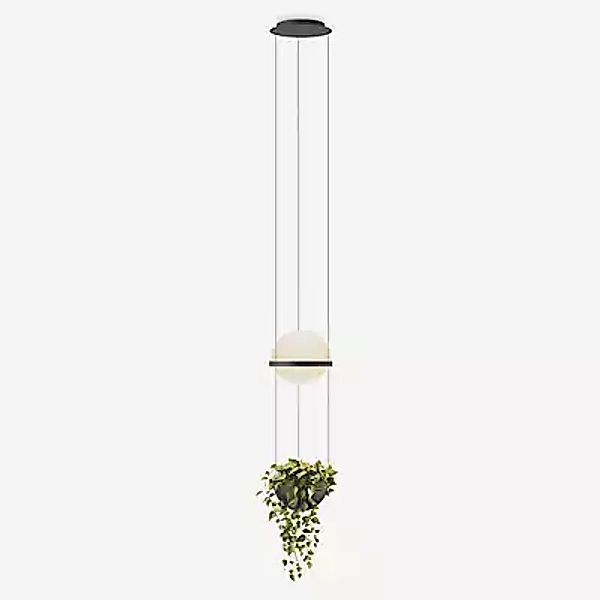 Vibia Palma 3724 Pendelleuchte LED - mit Pflanzentopf, graphit - 40 cm - Ca günstig online kaufen