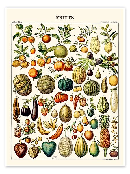 Posterlounge Wandbild Illustration von Früchten, 1923, günstig online kaufen