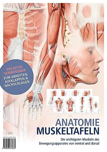 Poster Anatomie-Muskeltafeln günstig online kaufen