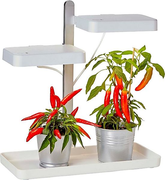 Northpoint Pflanzenlampe LED Pflanzenlampe Pflanzenleuchte Gewächslampe 30W günstig online kaufen