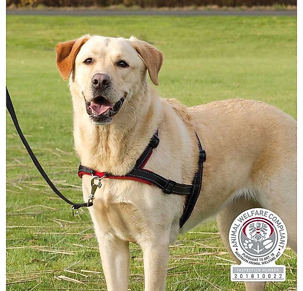 TRIXIE Hunde-Geschirr Trixie Trainingsgeschirr Lead'n'Walk Soft Größe: M-L günstig online kaufen