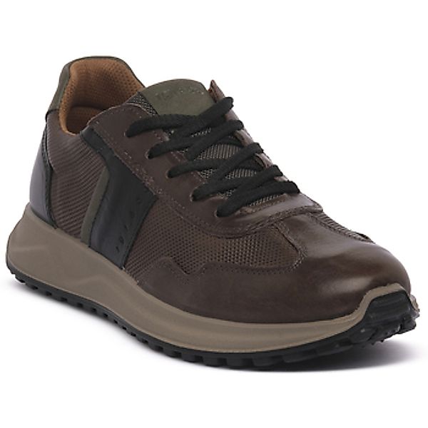 IgI&CO  Sneaker SARONNO CAFFE günstig online kaufen