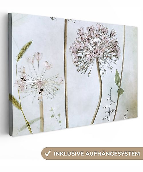 OneMillionCanvasses® Leinwandbild Blumen - Dekorative Zwiebel günstig online kaufen