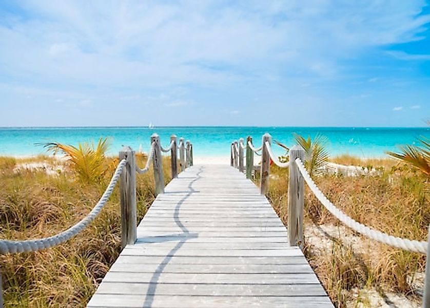 Papermoon Fototapete »Dunes Carribean Beach« günstig online kaufen