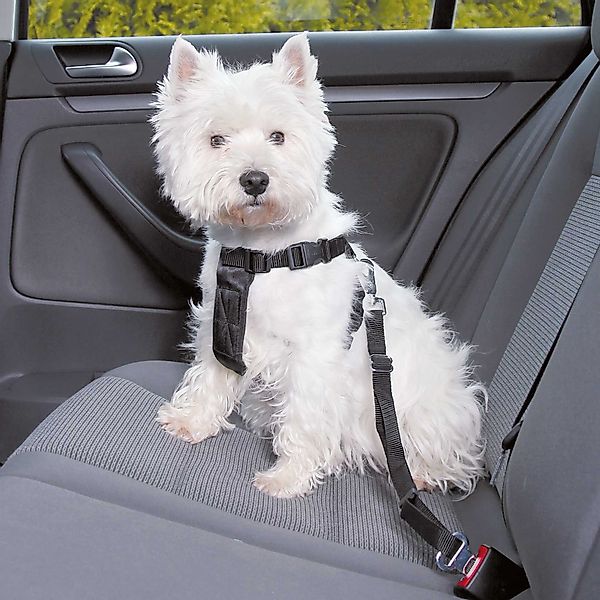 TRIXIE Hunde-Sicherheitsgeschirr DOGGURT Sicherheitsgurt fürs Auto günstig online kaufen